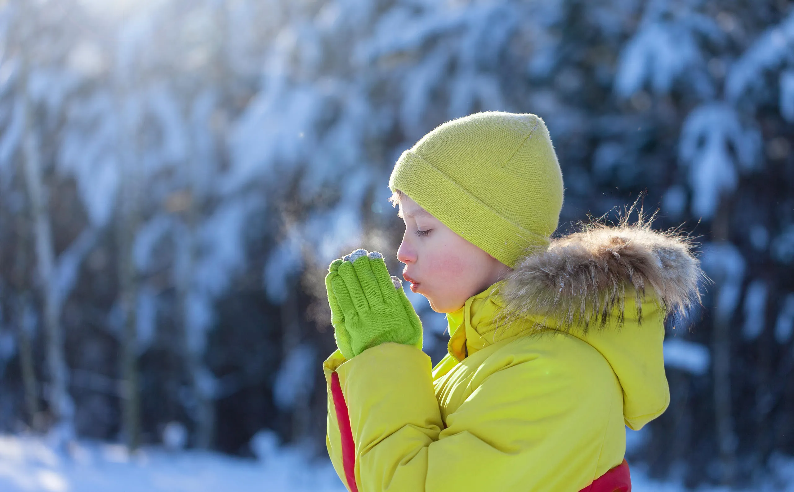 kid in winter green clothing in fornt of a blueish winter forest